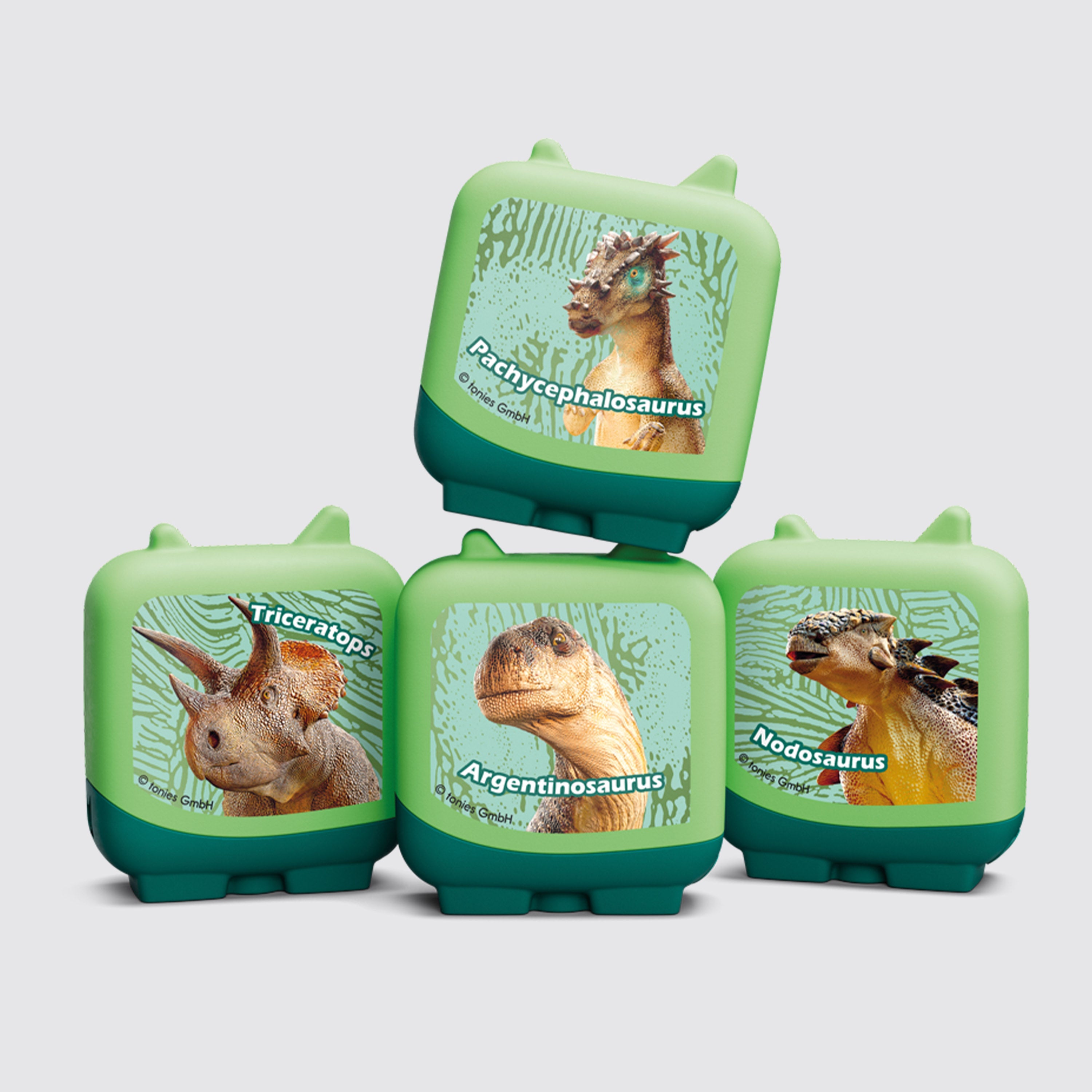 Darling Dinosaurs Lunch Box