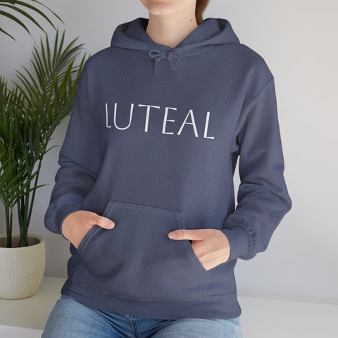 The Luteal Phase Hoodie Heather Navy Grey