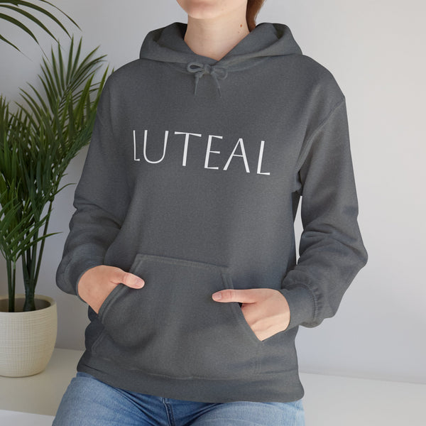 The Luteal Phase Hoodie Graphite Heather