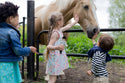 children petting a real horse while holding their lottie doll