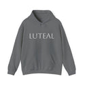 The Luteal Phase Hoodie - 11