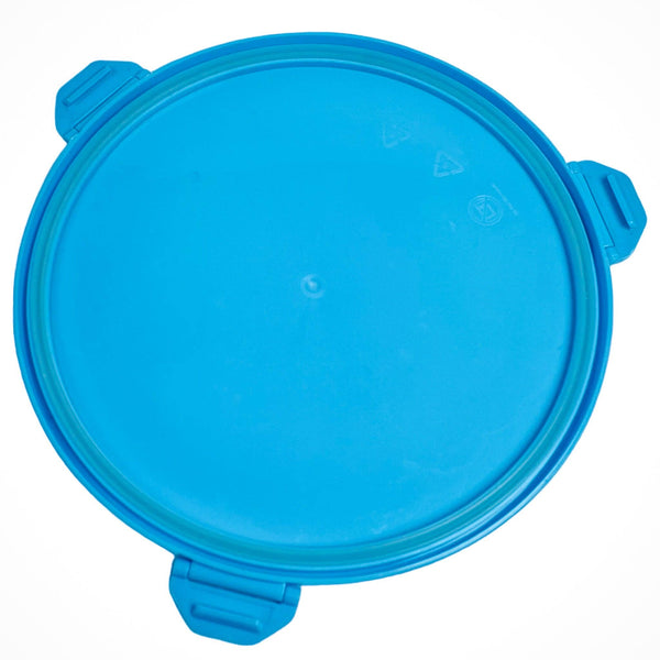 Blue bowl with 4 compartments for food and 1 center cup with lid for sauces. Complete with lid