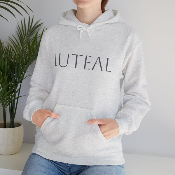 The Luteal Phase Hoodie Ash