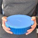 Blue bowl with 4 compartments for food and 1 center cup with lid for sauces. Complete with lid